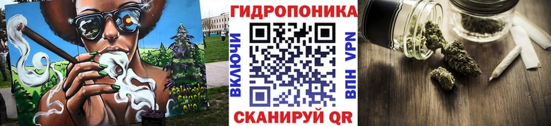 Где продают наркотики Приозерск Псилоцибиновые грибы Метамфетамин Alpha PVP АМФЕТАМИН COCAIN Меф ГАШ Конопля