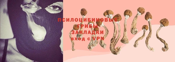 2c-b Ельня