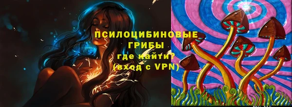 2c-b Ельня