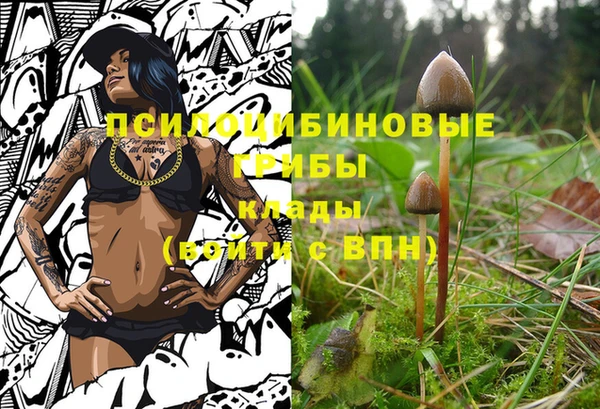 спайс Заволжск